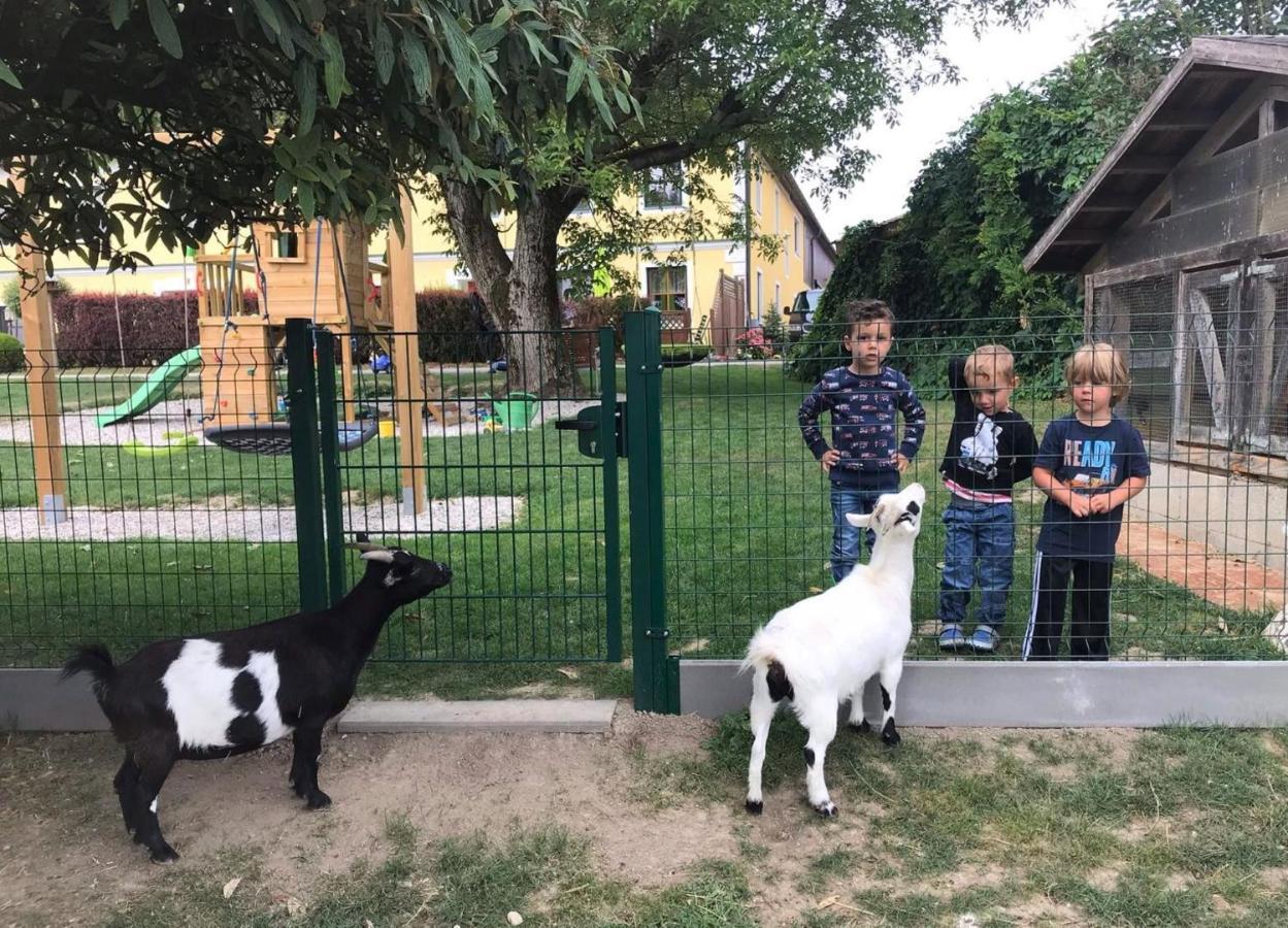 Familienbauernhof Strassbauer Villa Steinakirchen Am Forst Екстериор снимка